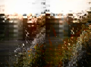 Airborne allergens extend to    an all-year challenge