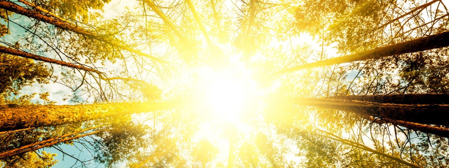 Let there be a daylight — Both outside and inside buildings